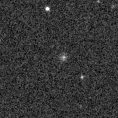 2021vwp_image