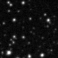 2021wal_image