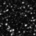 2021wam_image