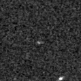 2021wbf_image