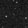 2021wdq_image