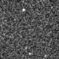 2021wgn_image