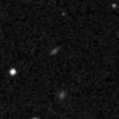 2021wgv_image