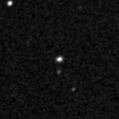 2021whj_image