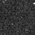 2021wjw_image