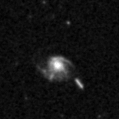 2021wki_image