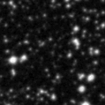 2021wks_image