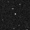 2021wl_image