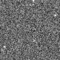 2021wln_image