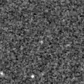 2021wls_image