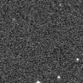 2021wlv_image