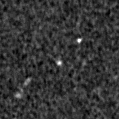 2021wnm_image