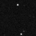 2021wrl_image