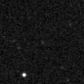 2021wrm_image