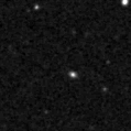 2021wsa_image