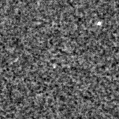 2021wsh_image