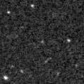 2021wsk_image