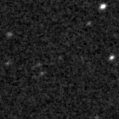 2021wsq_image