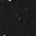 2021wsw_image