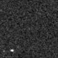2021wsx_image