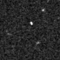 2021wtk_image