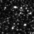 2021wty_image