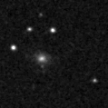 2021wvg_image
