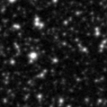 2021wvv_image