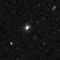 2021wys_image