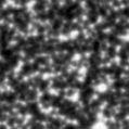 2021wzj_image