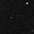 2021wzp_image