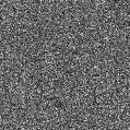 2021xcy_image
