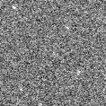 2021xhd_image