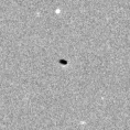2021xhl_image
