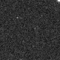 2021xip_image