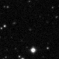 2021xll_image