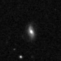 2021xmq_image