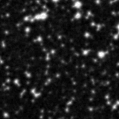 2021xms_image