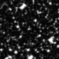 2021xmv_image