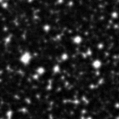 2021xmy_image
