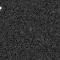 2021xna_image