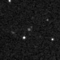 2021xnn_image