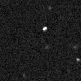 2021xoj_image