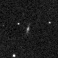 2021xqt_image