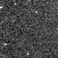 2021xxc_image