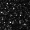 2021xyx_image