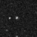 2021xzj_image