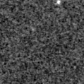 2021ydu_image