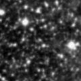 2021ygv_image