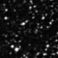 2021ylf_image